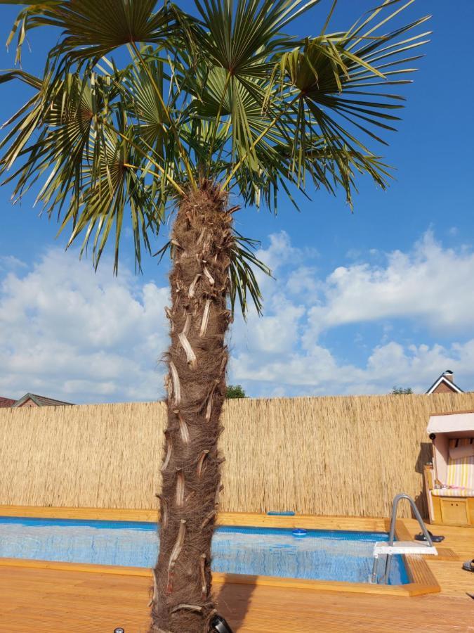 Ferienwohnung Uhlenbusch Paradise Friesoythe Εξωτερικό φωτογραφία